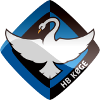 U19 Herfolge BK